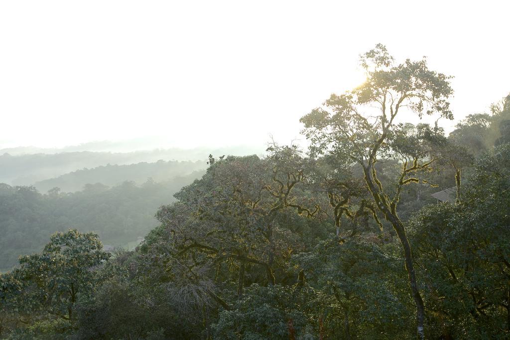 Taj Madikeri Resort & Spa Coorg Ngoại thất bức ảnh